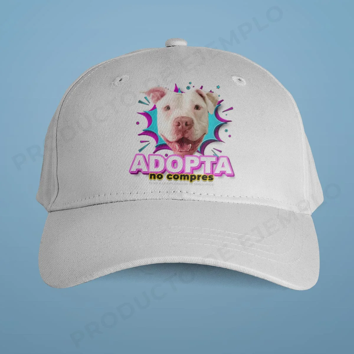 Gorra Estilo 2